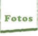 Ver secci&oacute;n Fotos